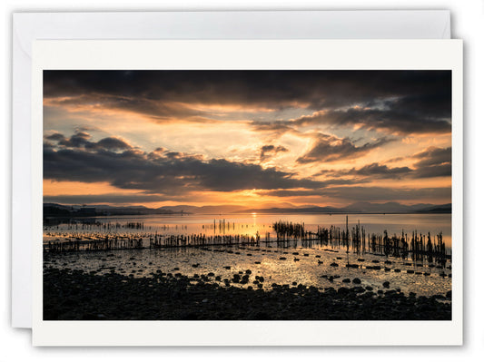 The Timber Ponds, Port Glasgow - Scotland Greeting Card - Blank Inside