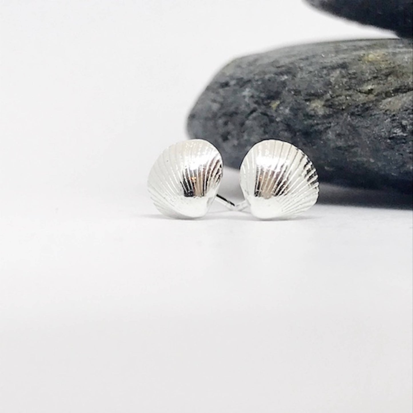 Silver Scottish Cockle Shell Earrings